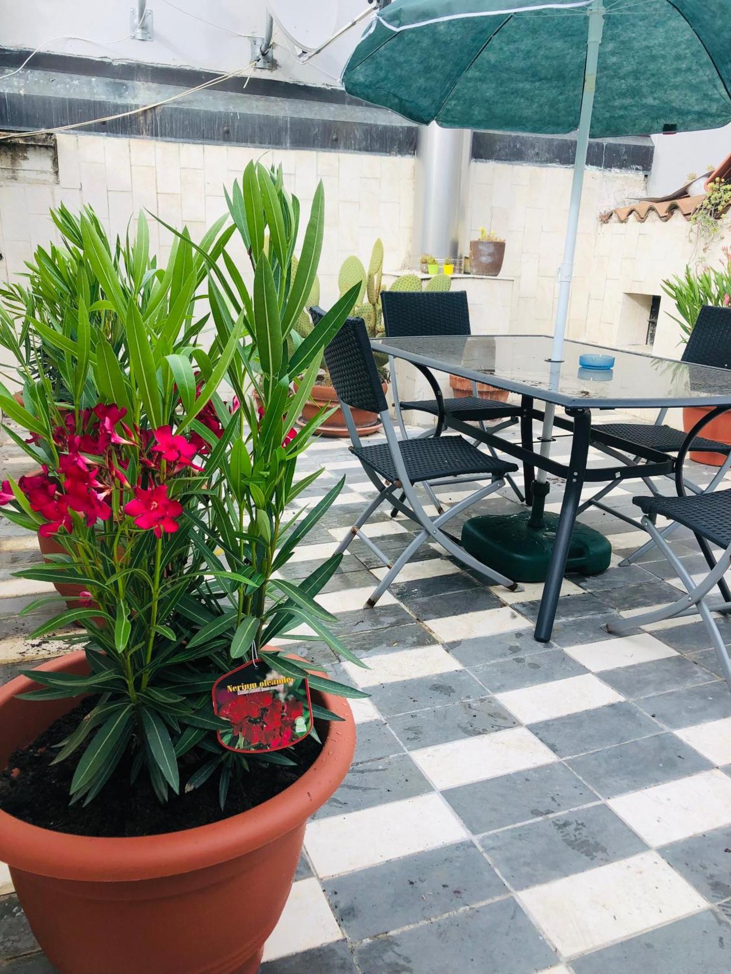 La Terrazza Di Aida Apartment Verona Exterior photo